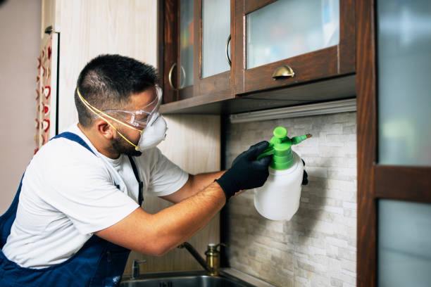 Best Emergency Pest Control  in Oxon Hill, MD