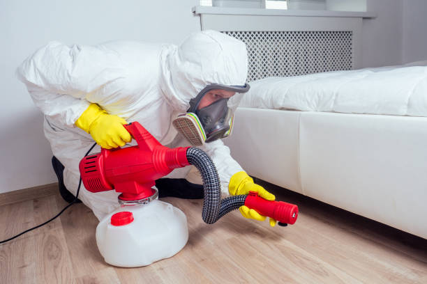 Best Best Pest Control Companies  in Oxon Hill, MD
