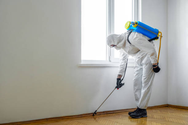Best Residential Pest Control  in Oxon Hill, MD