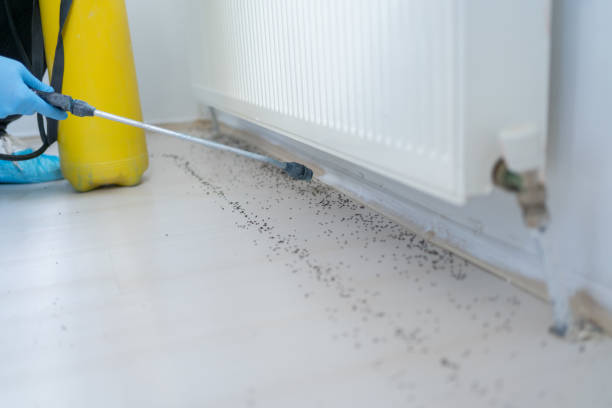 Best Mosquito Control Services  in Oxon Hill, MD
