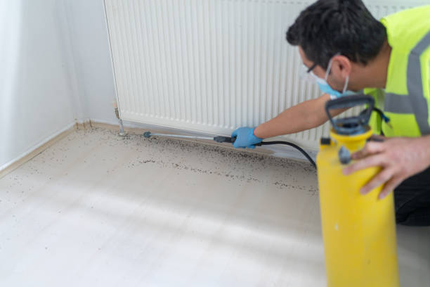 Best Bed Bug Extermination  in Oxon Hill, MD