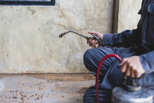 Best Pest Control Treatment  in Oxon Hill, MD